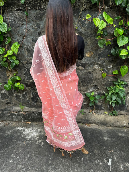 Mixed Fabric Saree