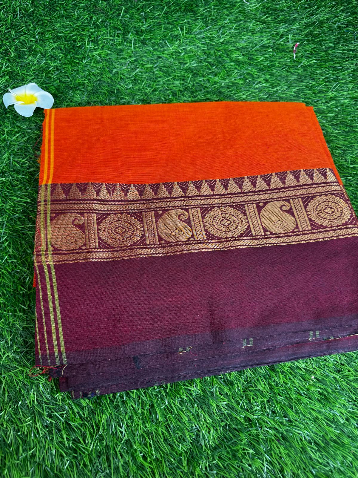 Cotton Saree