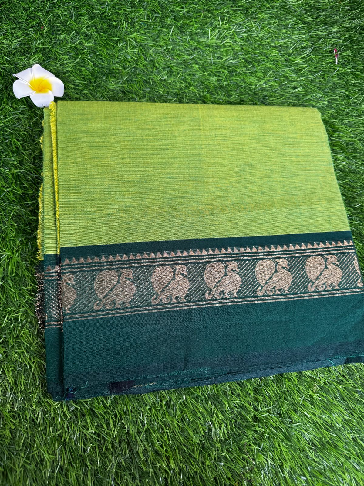 Cotton Saree