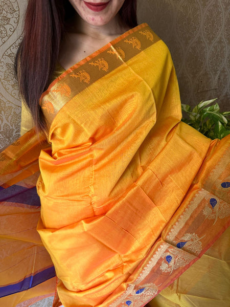 Silk Cotton Saree