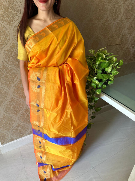 Silk Cotton Saree