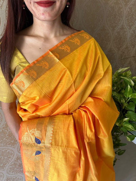 Silk Cotton Saree